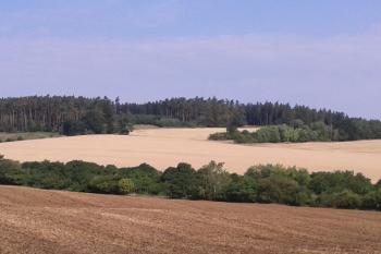 Pohled na východní stranu Velkého Kosíře. Lokalita Varhany uprostřed lesa ( © Ivo Rozehnal 07/2015)
