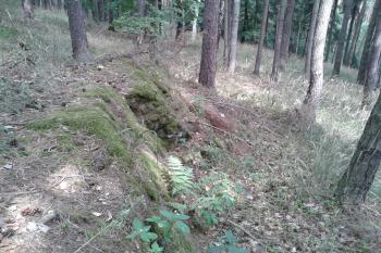 06 - Další část upravovaného skaliska Varhan na severní části ( © Ivo Rozehnal 07/2015)