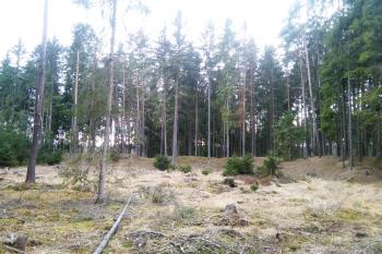 Velký val, pohled z východu. (© Prudký Martin, 03/2017)
