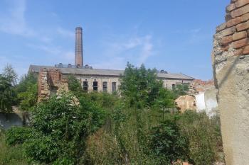 Pravděpodobné místo bývalého dvora a tvrze ( © Ivo Rozehnal 07/2015)