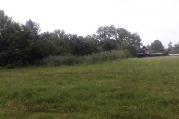 Rákosí a mokřina stále připomíná, že zde býval rybník, u kterého bývala tvrz. ( © Ivo Rozehnal 07/2019)