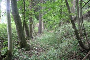 Zaniklí ale stále patrný mlýnský náhon. ( © Luděk Vláčil 07/2015)
