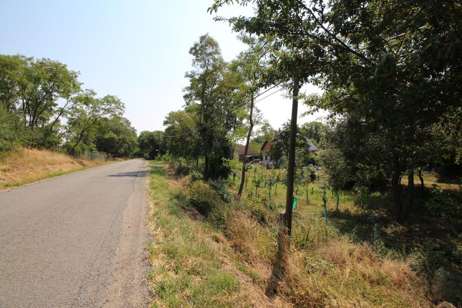 Raková