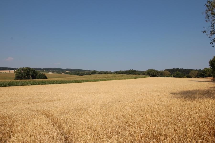 Bohuslavice