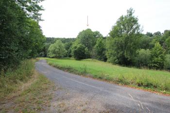 Šipka ukazuje na strom, pod nímž  je dnes jedný pozůstatkem mlýna, (© Luděk Vláčil 08/2015)