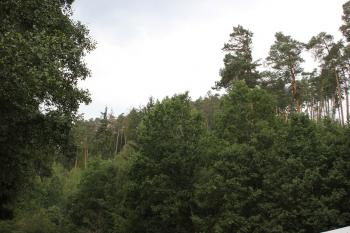 Lokalita od jihovýchodu (© Luděk Vláčil 08/2017)