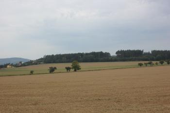 Lokalita od východu (© Luděk Vláčil 08/2017)