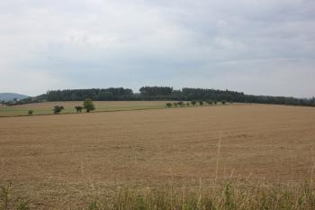 Lokalita od východu (© Luděk Vláčil 08/2017)