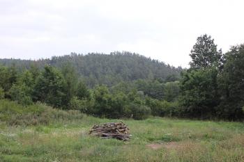 Lokalita od západu (© Luděk Vláčil 08/2017)