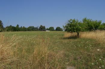 04 - Pohled na hradiště, vpravo sad (© Ivo Rozehnal 08/2015)
