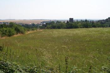 07 - Severozápadní konec plochy hradiště (© Ivo Rozehnal 08/2015)