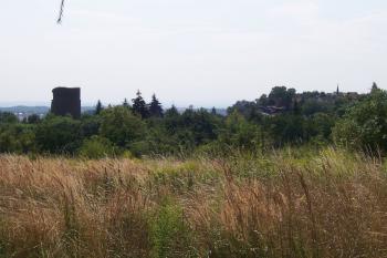 08 - Pohled na Dolní hrad vlevo, vpravo v místech zástavby stával Horní hrad. (© Ivo Rozehnal 08/2015)