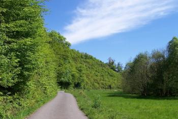Údolí Okluky ve voj.prostoru, vlevo kopec Na závrtku, za kterým začínají Oberská vrata ( © Ivo Rozehnal 05/2005)