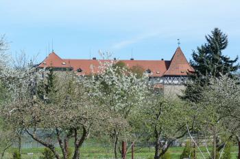Vodní hrad Budyně nad Ohří (© František Kinař, 04/2012)