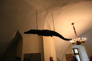 Budyňský krokodýl ( © Stanislav Šůna 09/2009)