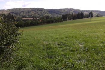 Foto 1 - Pohled od západu na plochu hradiště ( © Ivo Rozehnal 09/2015)