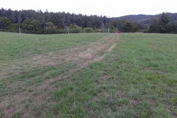 Foto 2 - Centrální plocha hradiště - pohled na západ ( © Ivo Rozehnal 09/2015)