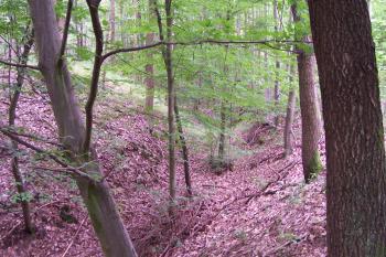 Východní val na Biskoupce ( © Ivo Rozehnal 08/2015)