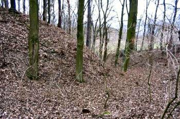  (© Jiří Čížek 03/2004)