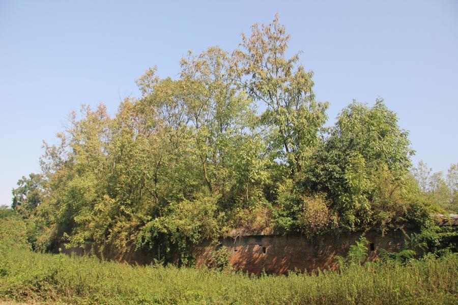 fort XV