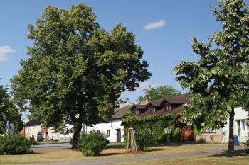 Možná  právě někde zde stávala tvrz. (© Luděk Vláčil 08/2015)