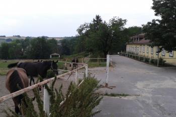  ( © Ivo Rozehnal 08/2015)