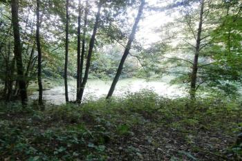 Rybníček u vsi. ( © Prudký Martin 08/2015)