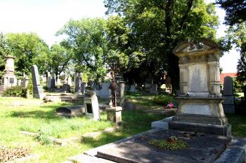 Hlavní přístupová cesta od brány ke kapli sv. Rozálie (© Pavel  Vlach, 08/2015)