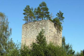 Torzo tvrze pomalu zarůstá  (© Jiří Cukr, 08/2008)