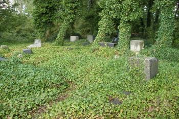 Terešovský židovský hřbitov (© Jiří Špaček, 08/2015)