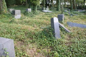 Terešovský židovský hřbitov (© Jiří Špaček, 08/2015)