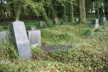 Terešovský židovský hřbitov (© Jiří Špaček, 08/2015)