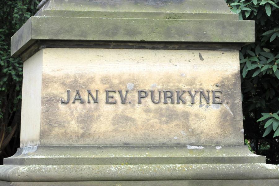 pomník J. E. Purkyně