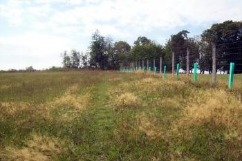 přístupová cesta (© Stanislav Drda 09/2015)