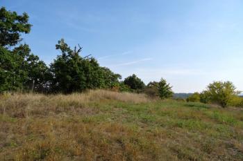 vrcholová partie Šobesu - plošina hradiště ( © Jan P. Štěpánek 10/2016)