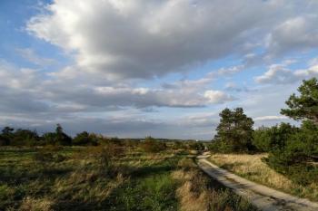 Havranické vřesoviště u božích muk ( © Jan P. Štěpánek 09/2015)