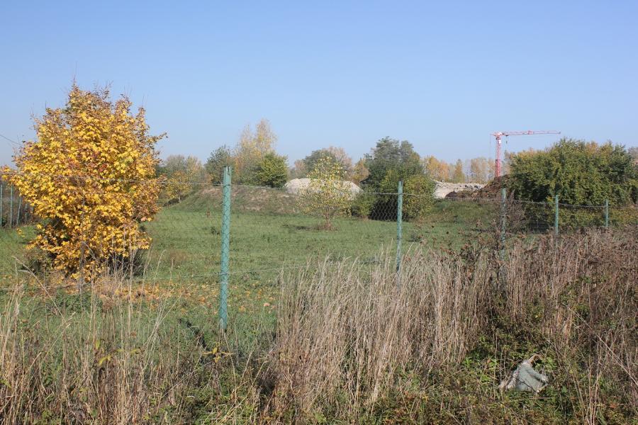 fort VIII