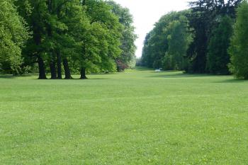 Lány zámecký park (© František Kinař, 04/2012)