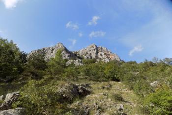  ( © Leo Nedomansky 10/2015)