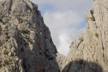  ( © Leo Nedomansky 10/2015)