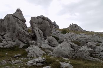  ( ©  Leo Nedomansky 10/2015)