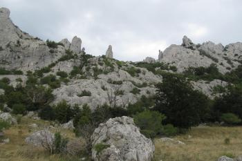  ( © Leo Nedomansky 10/2015)