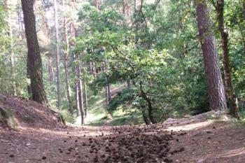 chráněné uzemí  Drábovna (© Zdenek Kudrna 09/2005)