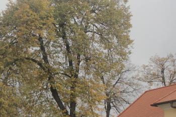  ( © Luděk Vláčil 10/2015)