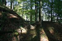 Raubeschloss