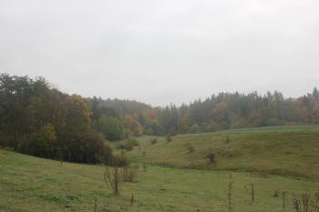 Psí žleb ( © Luděk Vláčil 10/2015)