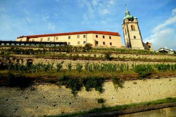  (© Drahomíra Kellerová, 07/2012)