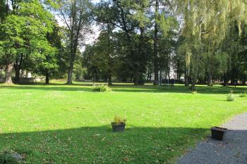 zám.park na východě (© D Dohňanský, 10/2017)