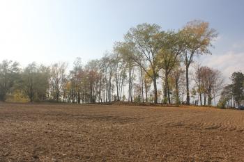  ( © Luděk Vláčil 10/2015)