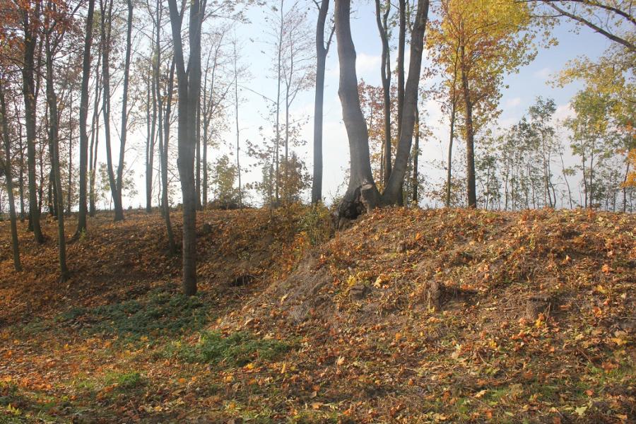 fort XVIII